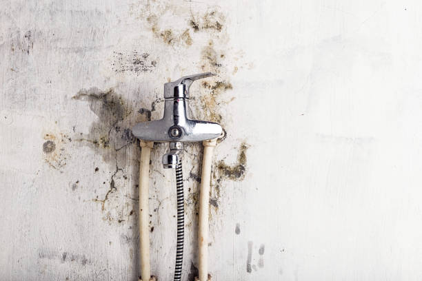 Water Damage Restoration in Santa Rosa, CA