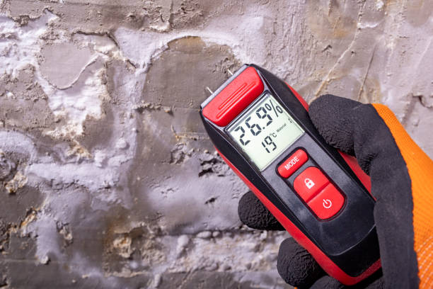 Best Attic Mold Removal  in Santa Rosa, CA
