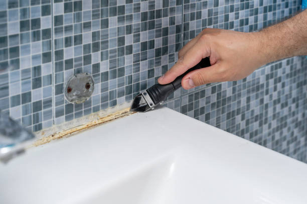 Best Local Mold Removal Service  in Santa Rosa, CA